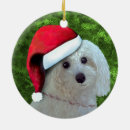 Search for fluffy christmas tree decorations Poodle