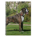 Search for boxer dog notebooks Brindle