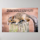 Search for rodents posters Squirrel