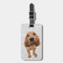 Search for bloodhound accessories Antique