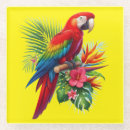 Search for macaws coasters Nature