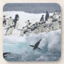 Search for penguin barware Fauna