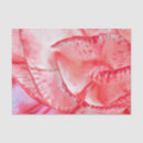 Search for 10lb tissue paper Nature