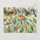 Search for adolphe postcards Vintage
