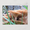 Search for wiccan postcards Forest