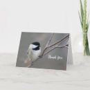 Search for capped chickadee cards Poecile atricapillus