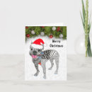 Search for boston christmas cards Pet