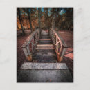 Search for forest path postcards Nature photography