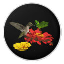 Search for hummingbird knobs and pulls Animals