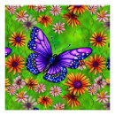 Search for purple butterfly posters Butterflies