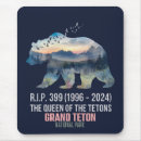 Search for tetons electronics Landscape