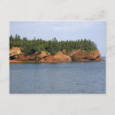 Search for saint david postcards Tide