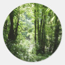 Search for rain forest stickers Nature