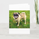 Search for love pug cards Cute