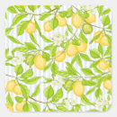 Search for lemon tree stickers Summer