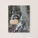 Search for raccoon puzzles Trash panda
