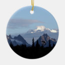 Search for range christmas tree decorations Landscape