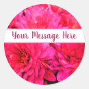 Search for chrysanthemums stickers Thank you