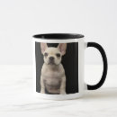 Search for bulldog puppy mugs Dogs