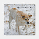 Search for australian cattle dog gifts Red