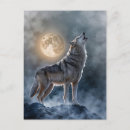 Search for wolf howling moon postcards Night