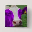 Search for bovine badges Farm