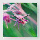 Search for danita delimont clocks Montana