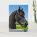 Search for friesian cards Black