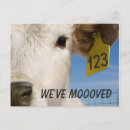 Search for moo postcards Moving