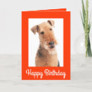 Search for airedale terrier dog cards Puppy