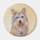 Search for berger magnets Dog
