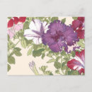 Search for glories postcards Antique