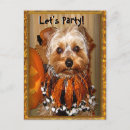 Search for yorkie puppies invitations Animal