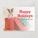 Search for terrier photo cards Brown