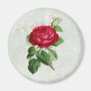 Search for rose red magnets Floral