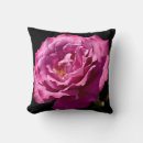 Search for angel cushions Roses