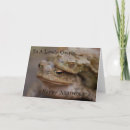 Search for toad cards Animal