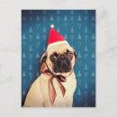 Search for love pug cards Pet