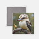 Search for australian bird magnets Cute