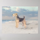Search for airedale terrier art Animals