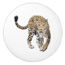 Search for cat knobs and pulls Lover