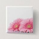 Search for gerberas badges Daisies