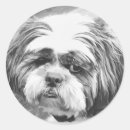 Search for shih tzu dog stickers Animals