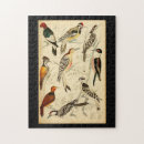 Search for natural history puzzles Science