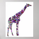 Search for colourful zebra posters Wildlife