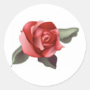 Search for long stemmed rose stickers Flowers