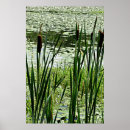 Search for cat tail posters White