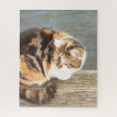 Search for lucky cat Cats