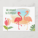 Search for flamingo moving announcement cards Florida