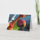 Search for parakeet cards Photography